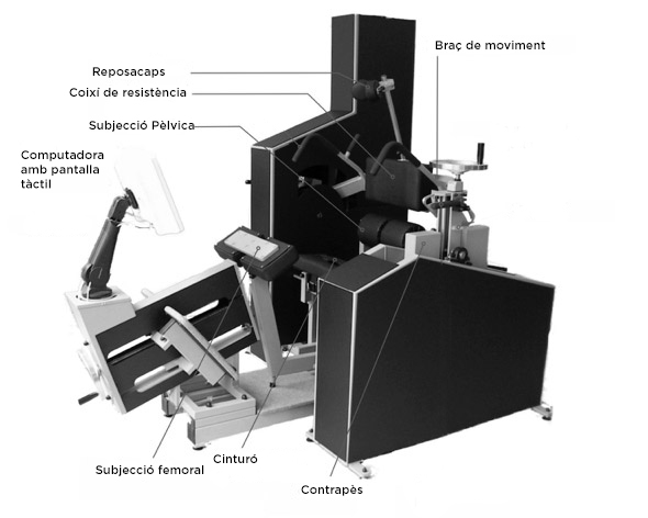 MedX Lumbar Extension visió frontal a Wunder Training