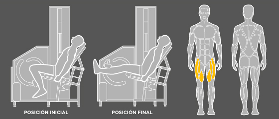 entrenamiento ciclismo - B1 Cuádriceps Wunder Training