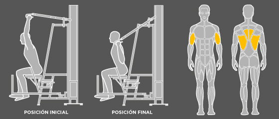 entrenamiento para personas mayores - C3 Tracción de brazos Wunder Training