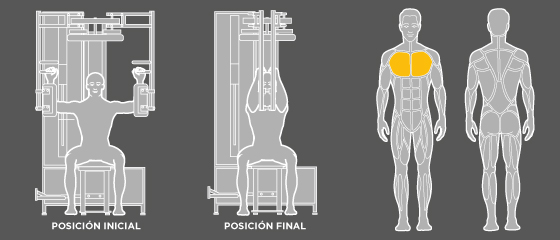 Ejercicios para el embarazo, Pectoral