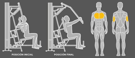 Entrenament per córrer - D6 Pectoral Wunder Training