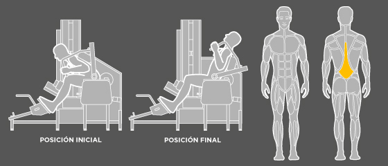 entrenament esquena - F3 Lumbars Wunder Training