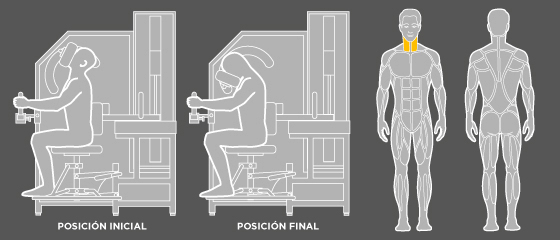 G4 Extensión cervical Wunder Training