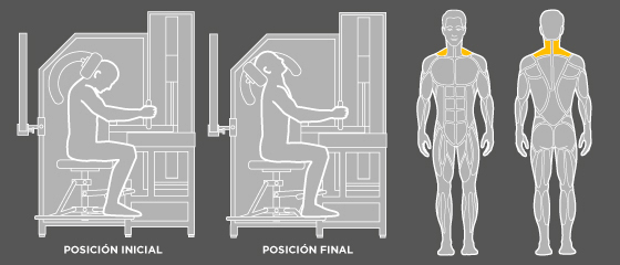 entrenament esquena - G5 Extensió cervical Wunder Training