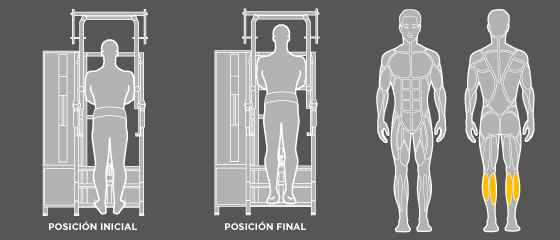 entrenamiento para personas mayores - J1 Elevación de talón Wunder Training