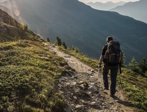 Excursionismo, marcha nórdica, senderismo… conoce las mejores rutas para mejorar tu resistencia.