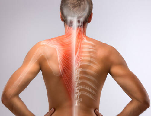 Ejercicios para fortalecer el core y mejorar o prevenir el dolor de espalda